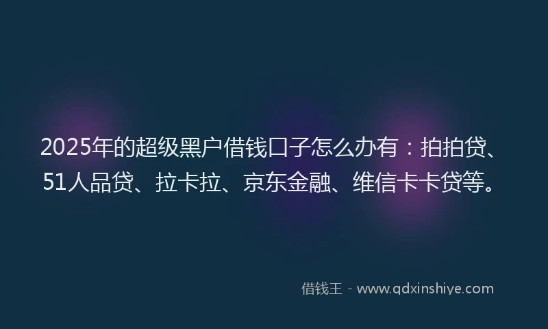 2025年的超级黑户借钱口子怎么办有：拍拍贷、51人品贷、拉卡拉、京东金融、维信卡卡贷等。