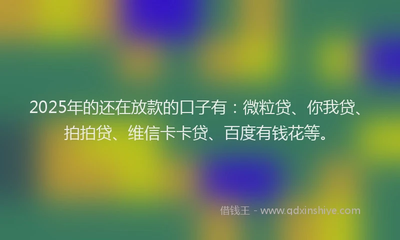 2025年的还在放款的口子有：微粒贷、你我贷、拍拍贷、维信卡卡贷、百度有钱花等。