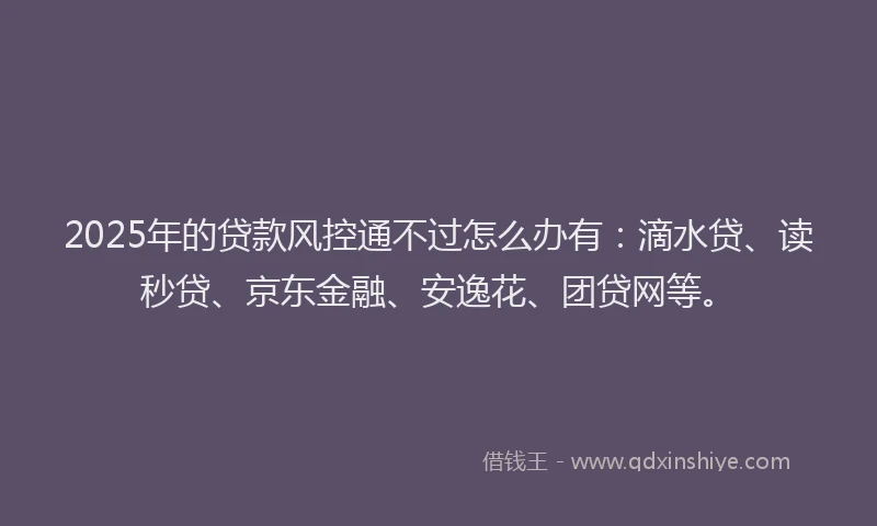 2025年的贷款风控通不过怎么办有：滴水贷、读秒贷、京东金融、安逸花、团贷网等。
