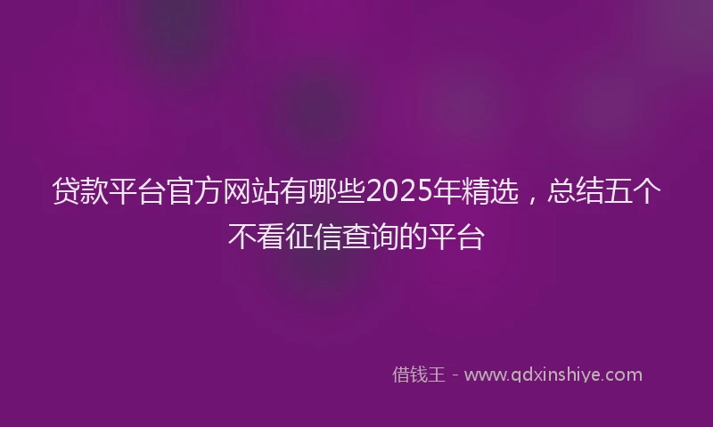 贷款平台官方网站有哪些2025年精选，总结五个不看征信查询的平台