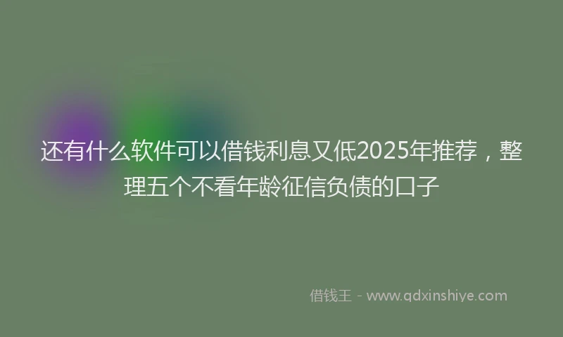 还有什么软件可以借钱利息又低2025年推荐，整理五个不看年龄征信负债的口子