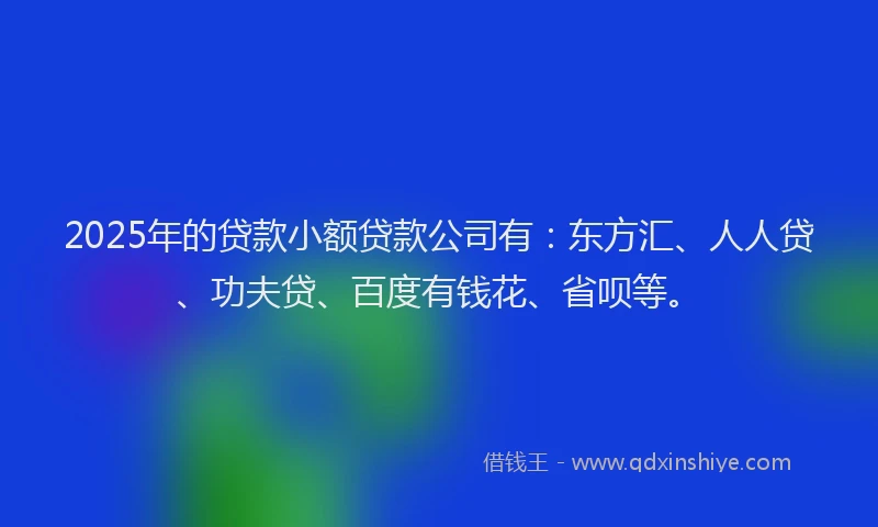 2025年的贷款小额贷款公司有：东方汇、人人贷、功夫贷、百度有钱花、省呗等。