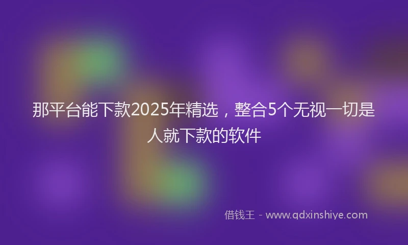 那平台能下款2025年精选，整合5个无视一切是人就下款的软件