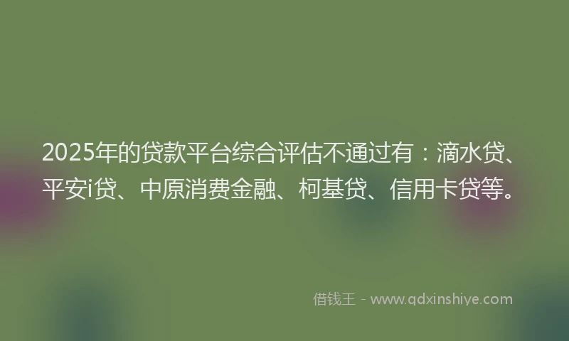 2025年的贷款平台综合评估不通过有：滴水贷、平安i贷、中原消费金融、柯基贷、信用卡贷等。