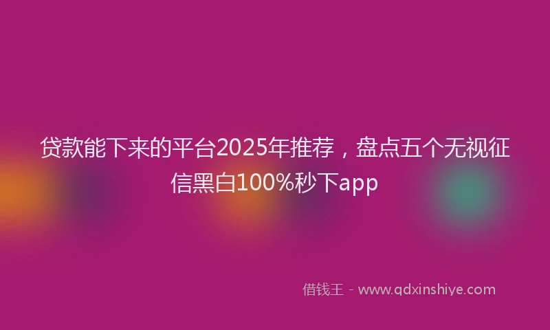 贷款能下来的平台2025年推荐，盘点五个无视征信黑白100%秒下app