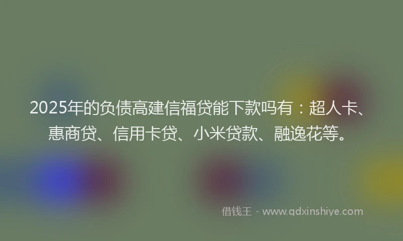 2025年的负债高建信福贷能下款吗有：超人卡、惠商贷、信用卡贷、小米贷款、融逸花等。