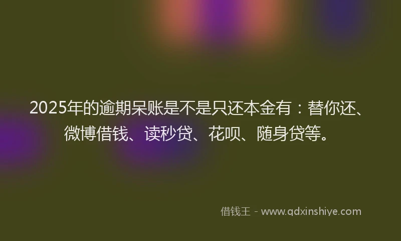 2025年的逾期呆账是不是只还本金有：替你还、微博借钱、读秒贷、花呗、随身贷等。