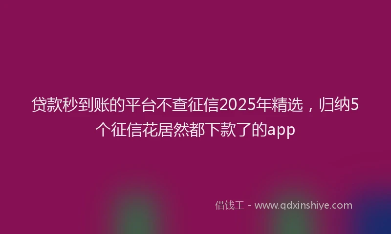 贷款秒到账的平台不查征信2025年精选，归纳5个征信花居然都下款了的app