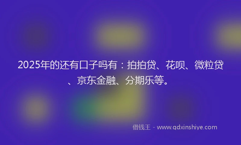 2025年的还有口子吗有：拍拍贷、花呗、微粒贷、京东金融、分期乐等。