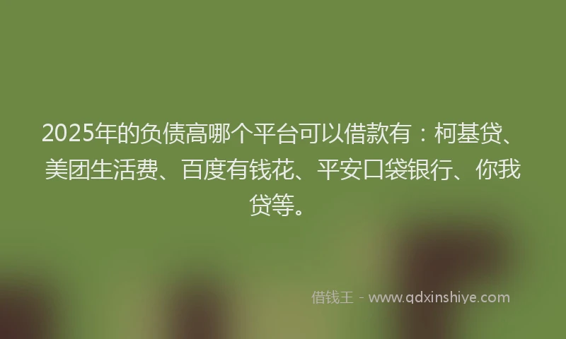 2025年的负债高哪个平台可以借款有：柯基贷、美团生活费、百度有钱花、平安口袋银行、你我贷等。
