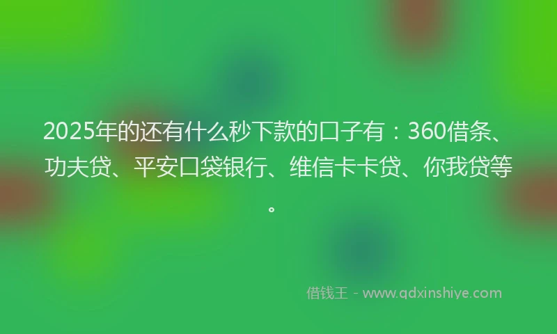 2025年的还有什么秒下款的口子有：360借条、功夫贷、平安口袋银行、维信卡卡贷、你我贷等。