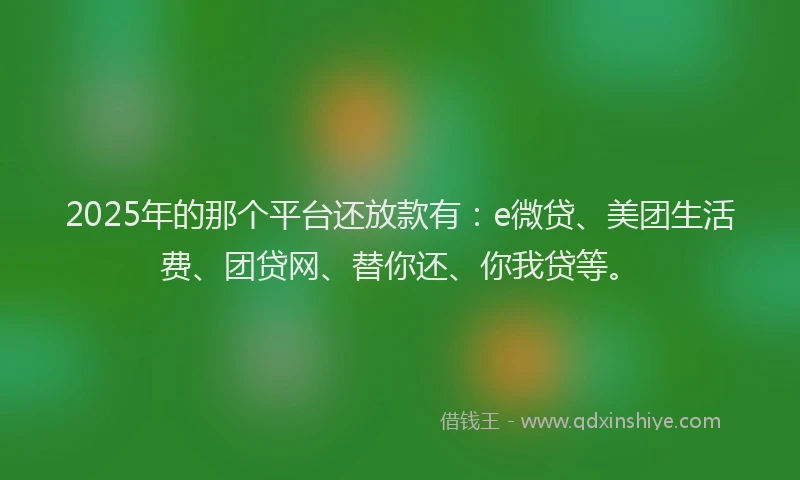 2025年的那个平台还放款有：e微贷、美团生活费、团贷网、替你还、你我贷等。