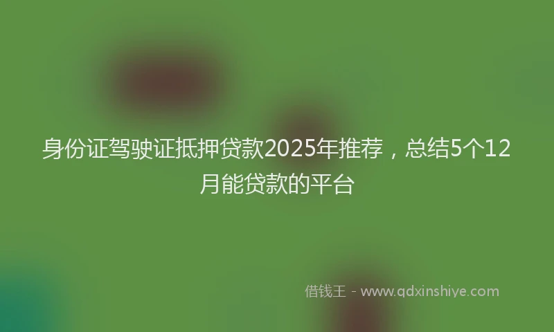 身份证驾驶证抵押贷款2025年推荐，总结5个12月能贷款的平台