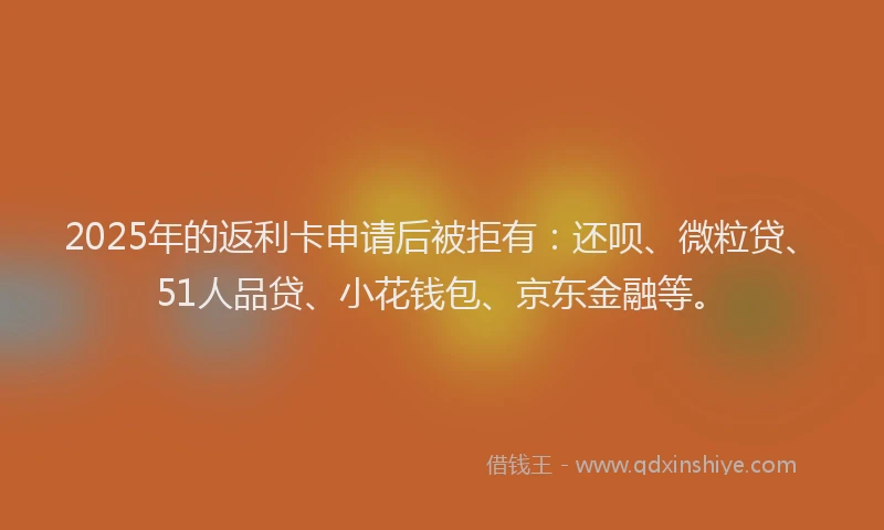2025年的返利卡申请后被拒有：还呗、微粒贷、51人品贷、小花钱包、京东金融等。