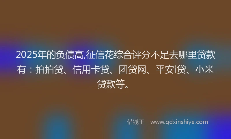 2025年的负债高,征信花综合评分不足去哪里贷款有：拍拍贷、信用卡贷、团贷网、平安i贷、小米贷款等。