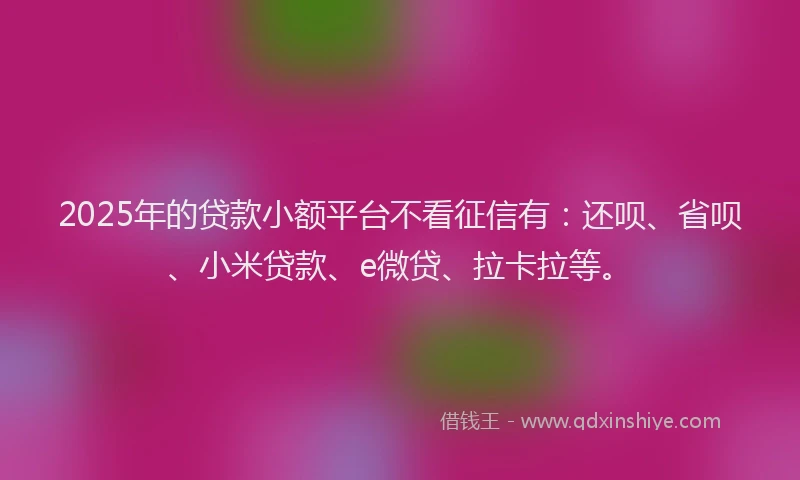 2025年的贷款小额平台不看征信有：还呗、省呗、小米贷款、e微贷、拉卡拉等。