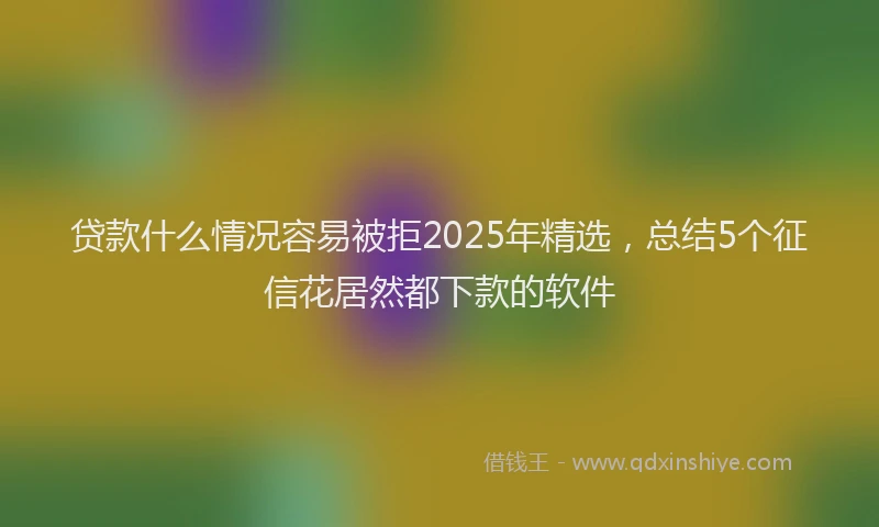 贷款什么情况容易被拒2025年精选，总结5个征信花居然都下款的软件