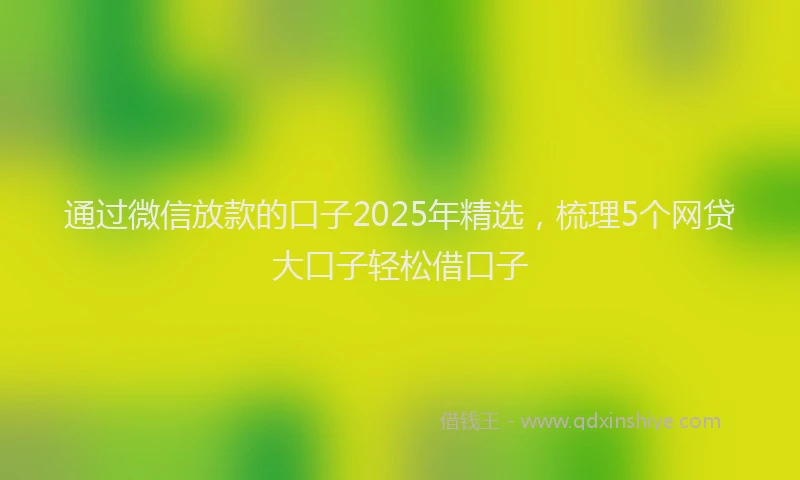 通过微信放款的口子2025年精选，梳理5个网贷大口子轻松借口子