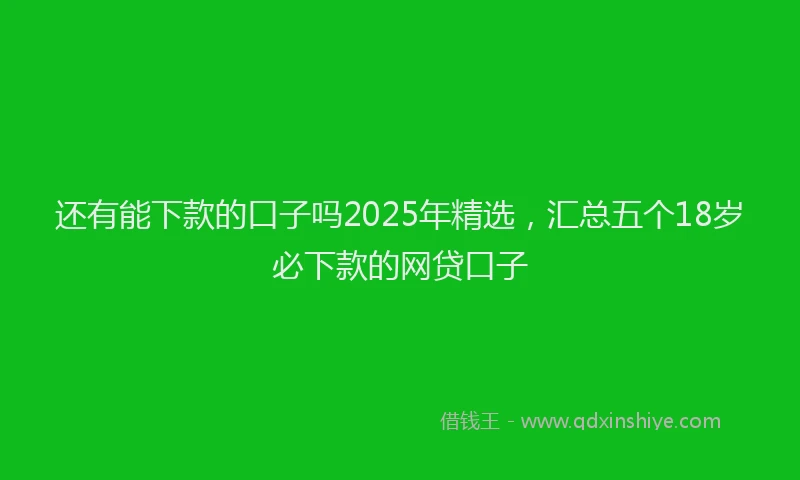 还有能下款的口子吗2025年精选，汇总五个18岁必下款的网贷口子