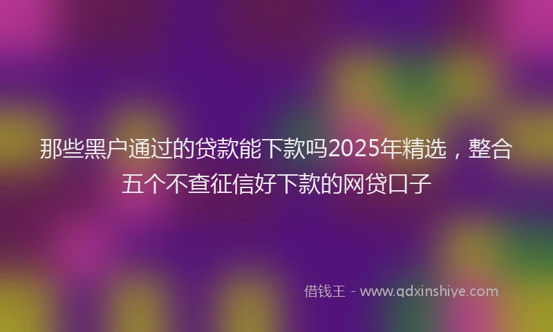 那些黑户通过的贷款能下款吗2025年精选，整合五个不查征信好下款的网贷口子