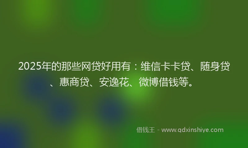 2025年的那些网贷好用有：维信卡卡贷、随身贷、惠商贷、安逸花、微博借钱等。
