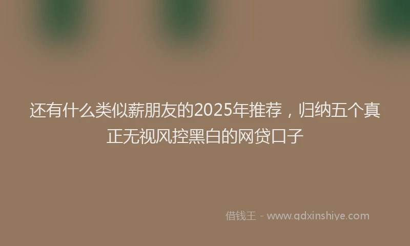 还有什么类似薪朋友的2025年推荐，归纳五个真正无视风控黑白的网贷口子