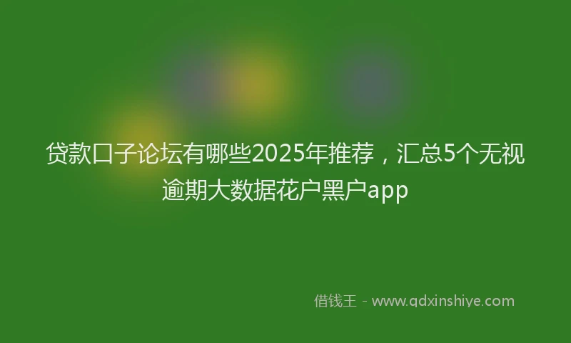 贷款口子论坛有哪些2025年推荐，汇总5个无视逾期大数据花户黑户app