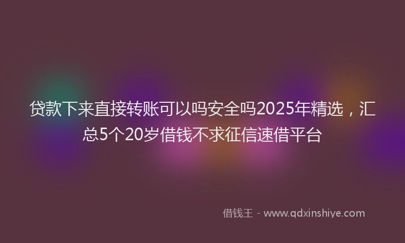 贷款下来直接转账可以吗安全吗2025年精选，汇总5个20岁借钱不求征信速借平台