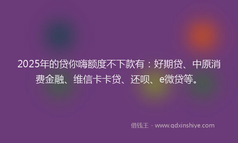 2025年的贷你嗨额度不下款有：好期贷、中原消费金融、维信卡卡贷、还呗、e微贷等。