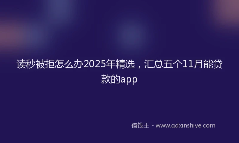 读秒被拒怎么办2025年精选，汇总五个11月能贷款的app