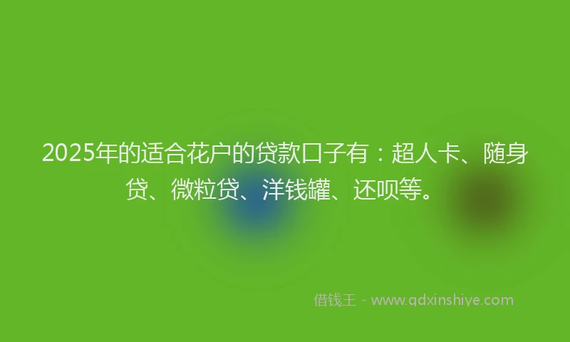 2025年的适合花户的贷款口子有：超人卡、随身贷、微粒贷、洋钱罐、还呗等。