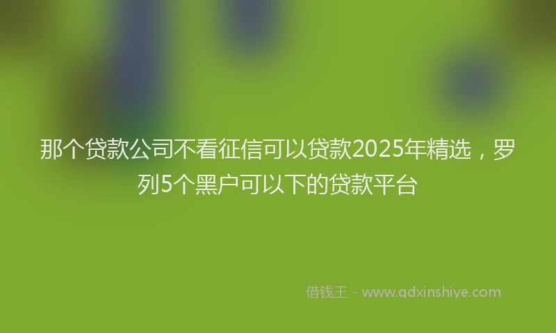 那个贷款公司不看征信可以贷款2025年精选，罗列5个黑户可以下的贷款平台