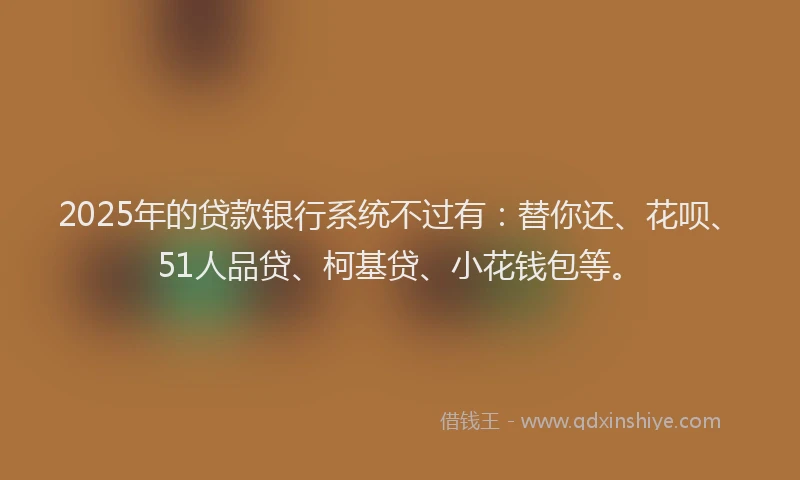 2025年的贷款银行系统不过有：替你还、花呗、51人品贷、柯基贷、小花钱包等。