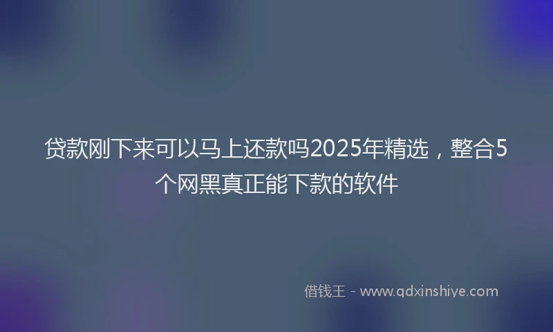 贷款刚下来可以马上还款吗2025年精选，整合5个网黑真正能下款的软件