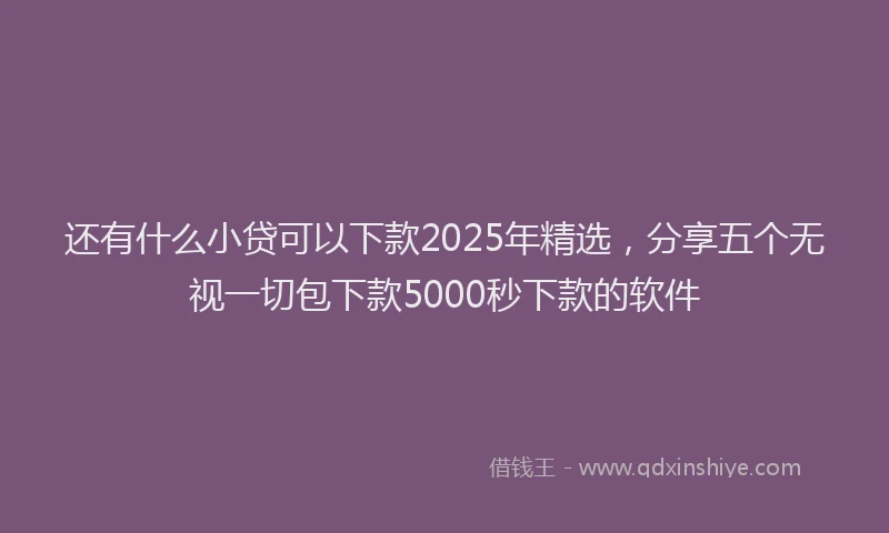 还有什么小贷可以下款2025年精选，分享五个无视一切包下款5000秒下款的软件