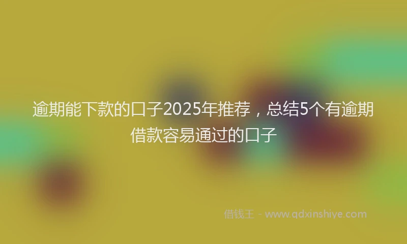 逾期能下款的口子2025年推荐，总结5个有逾期借款容易通过的口子