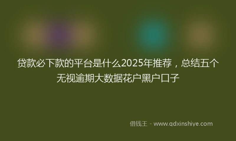 贷款必下款的平台是什么2025年推荐，总结五个无视逾期大数据花户黑户口子