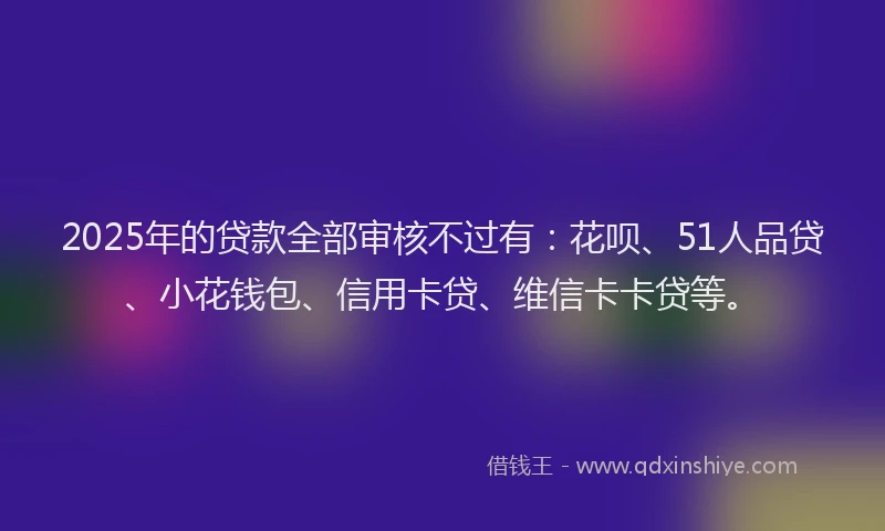 2025年的贷款全部审核不过有：花呗、51人品贷、小花钱包、信用卡贷、维信卡卡贷等。