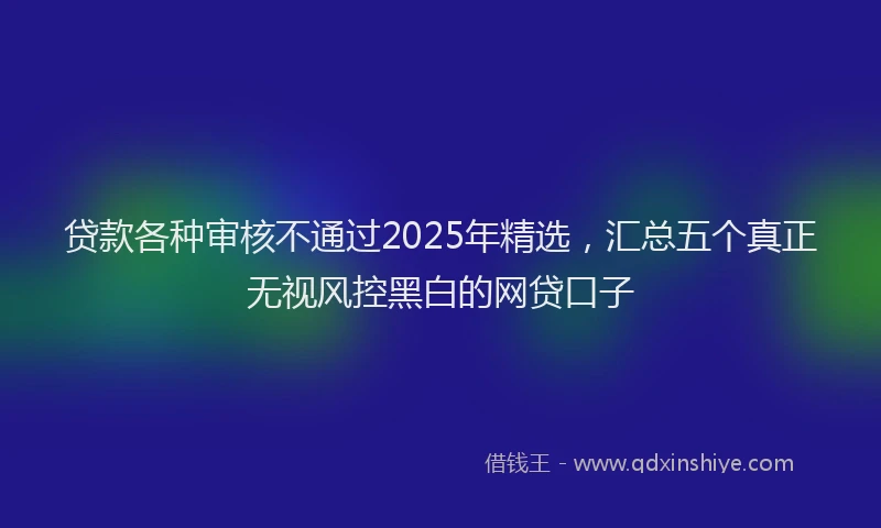 贷款各种审核不通过2025年精选，汇总五个真正无视风控黑白的网贷口子