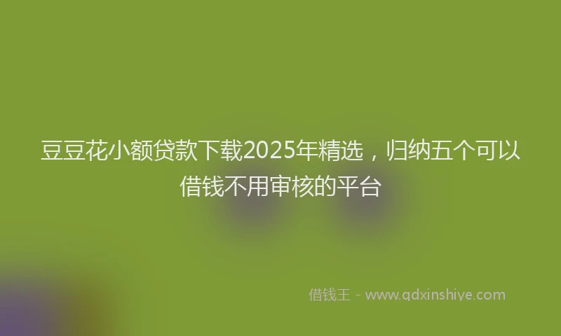 豆豆花小额贷款下载2025年精选，归纳五个可以借钱不用审核的平台