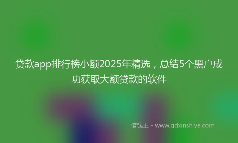 贷款app排行榜小额2025年精选，总结5个黑户成功获取大额贷款的软件