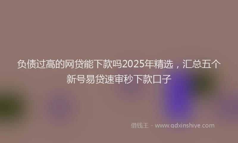 负债过高的网贷能下款吗2025年精选，汇总五个新号易贷速审秒下款口子
