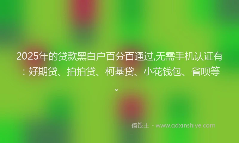 2025年的贷款黑白户百分百通过,无需手机认证有：好期贷、拍拍贷、柯基贷、小花钱包、省呗等。