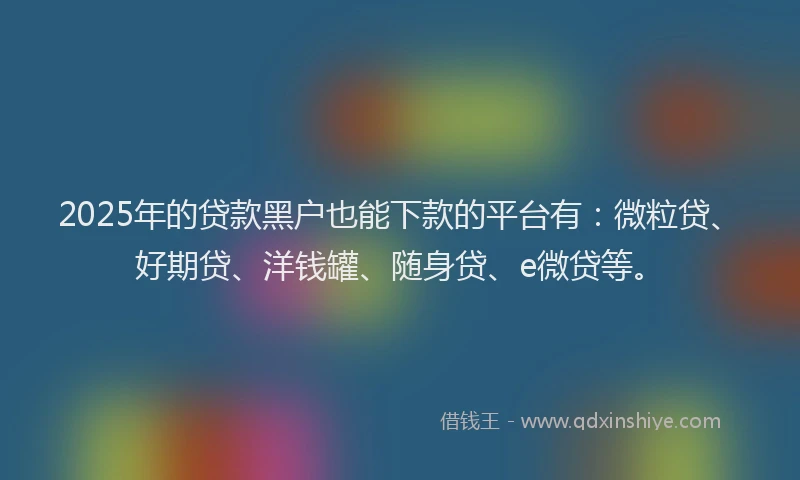 2025年的贷款黑户也能下款的平台有：微粒贷、好期贷、洋钱罐、随身贷、e微贷等。
