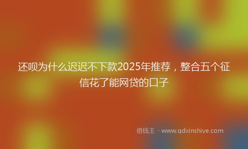 还呗为什么迟迟不下款2025年推荐，整合五个征信花了能网贷的口子