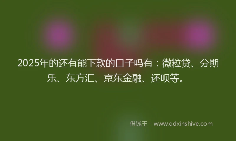 2025年的还有能下款的口子吗有：微粒贷、分期乐、东方汇、京东金融、还呗等。