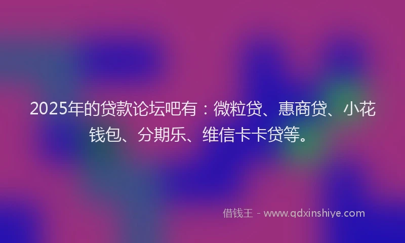 2025年的贷款论坛吧有：微粒贷、惠商贷、小花钱包、分期乐、维信卡卡贷等。