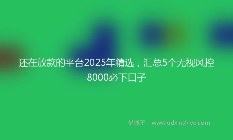 还在放款的平台2025年精选，汇总5个无视风控8000必下口子