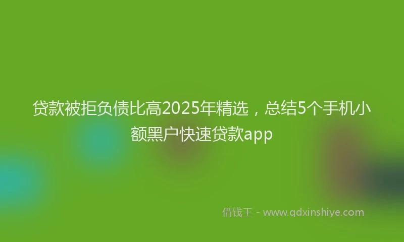 贷款被拒负债比高2025年精选，总结5个手机小额黑户快速贷款app