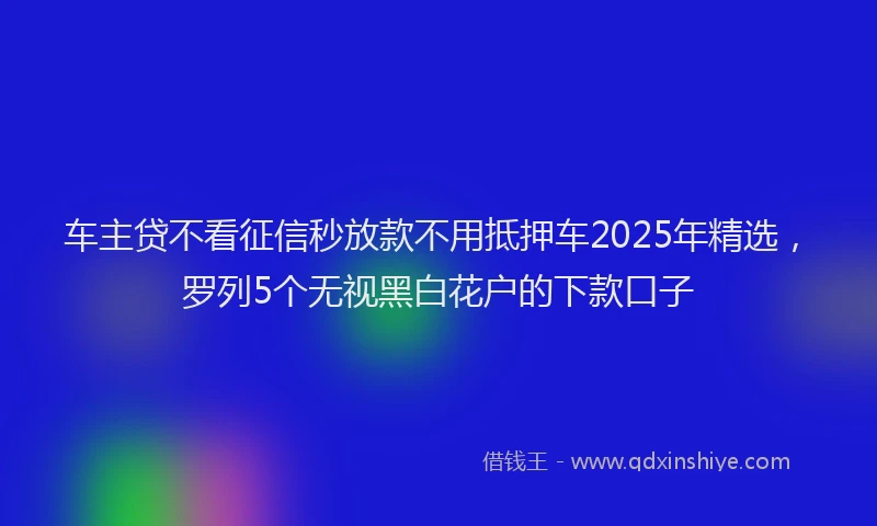 车主贷不看征信秒放款不用抵押车2025年精选，罗列5个无视黑白花户的下款口子